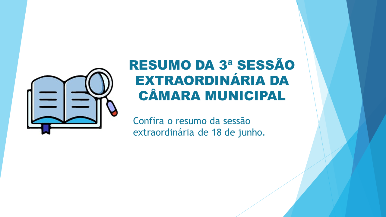Resumo da Sessão Extraordinária
